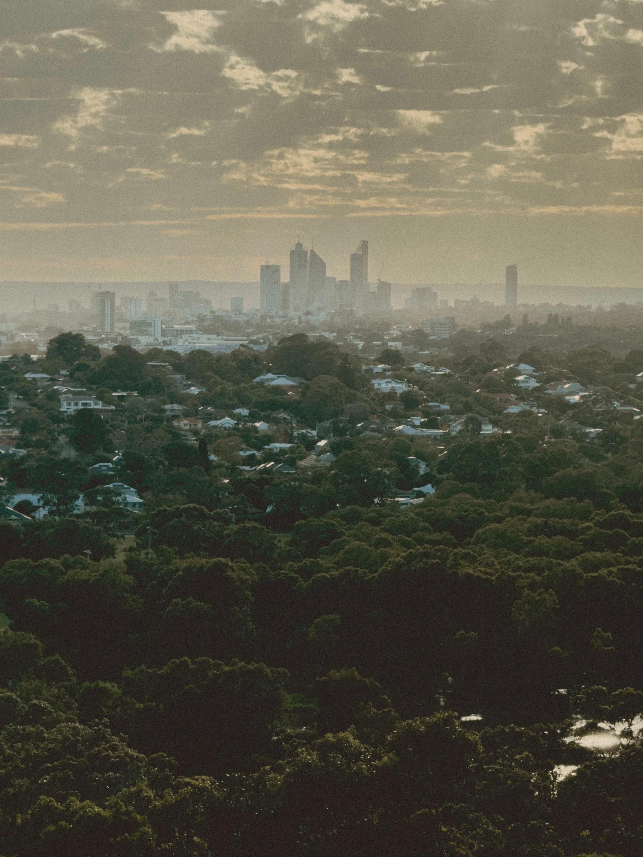 A city skyline in the distance, surrounded by dense greenery and under a cloudy sky